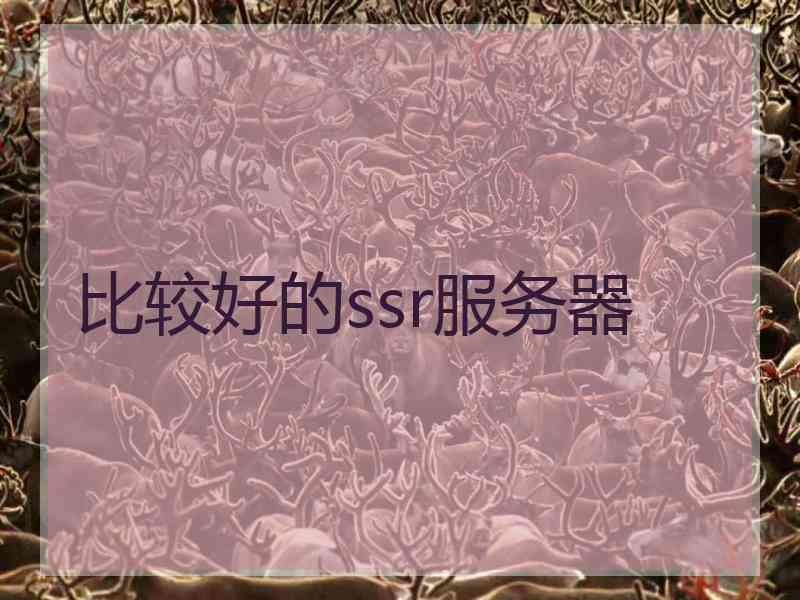 比较好的ssr服务器