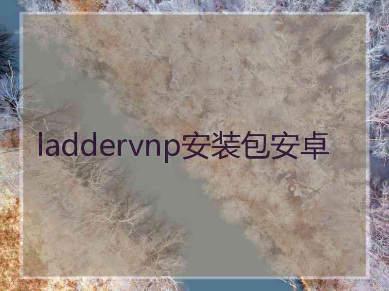 laddervnp安装包安卓