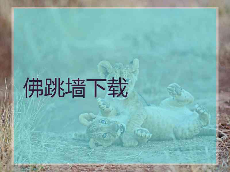 佛跳墙下载
