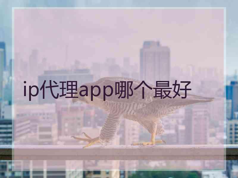ip代理app哪个最好
