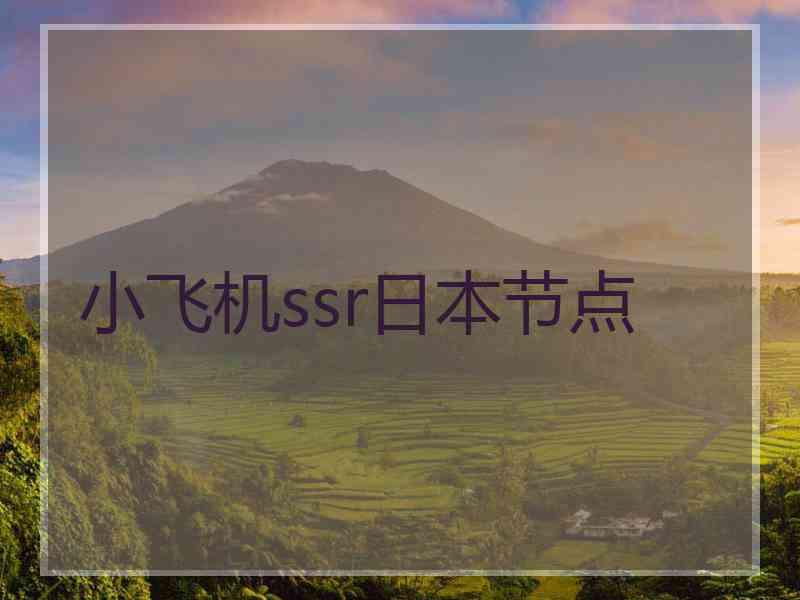 小飞机ssr日本节点