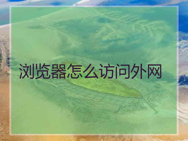 浏览器怎么访问外网