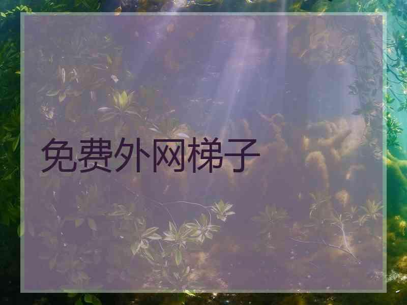免费外网梯子