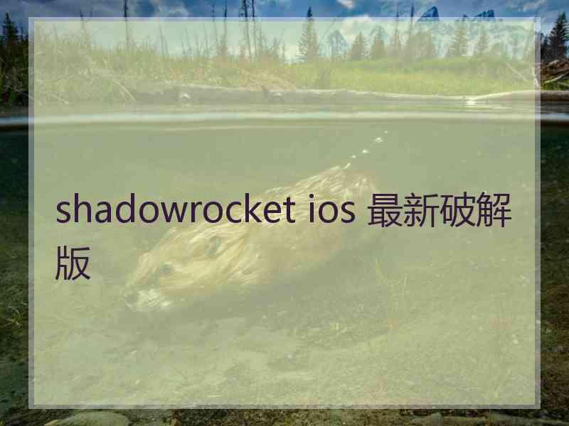 shadowrocket ios 最新破解版