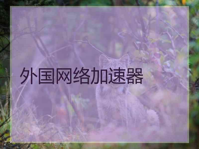 外国网络加速器