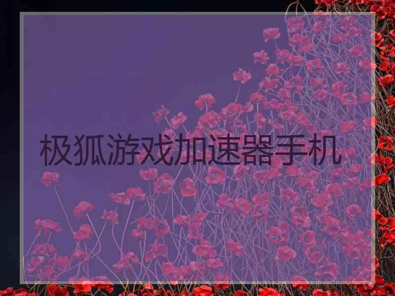 极狐游戏加速器手机