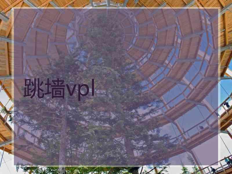 跳墙vpl