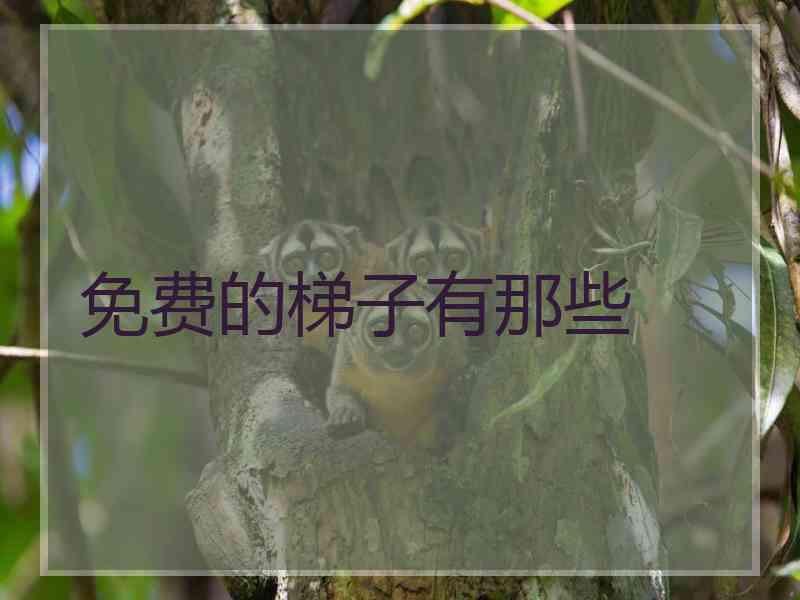 免费的梯子有那些