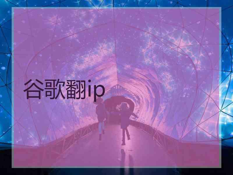 谷歌翻ip