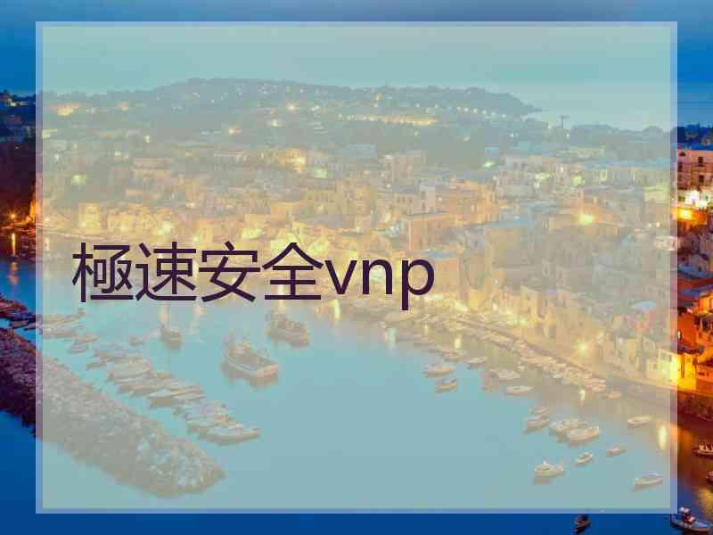 極速安全vnp