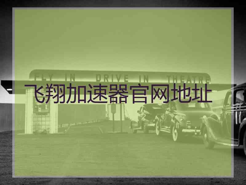 飞翔加速器官网地址