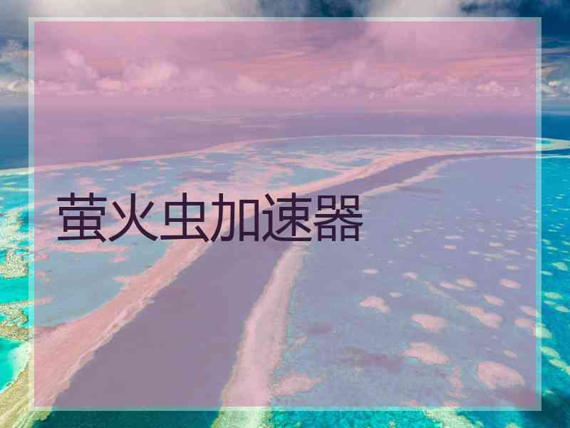 萤火虫加速器