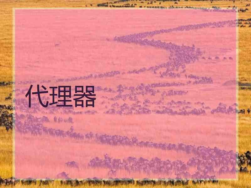 代理器