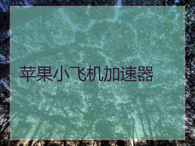 苹果小飞机加速器