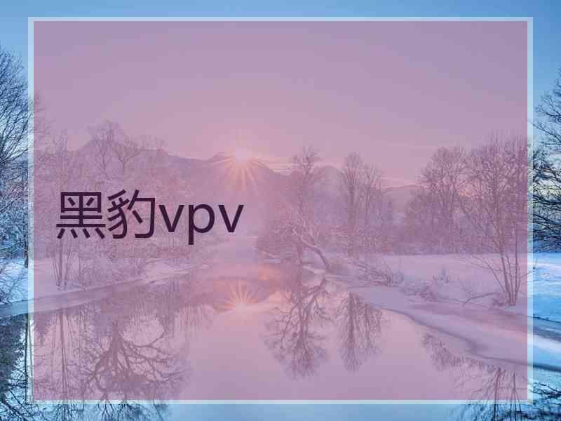 黑豹vpv