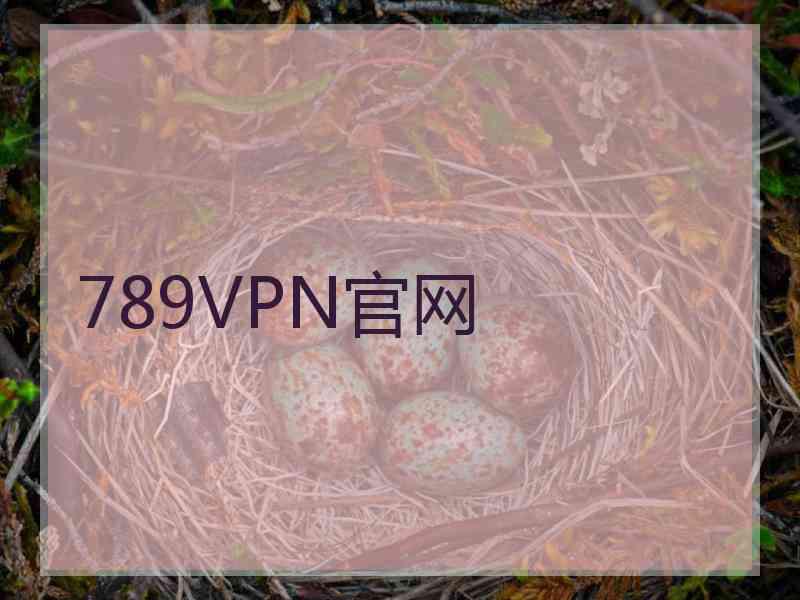 789VPN官网