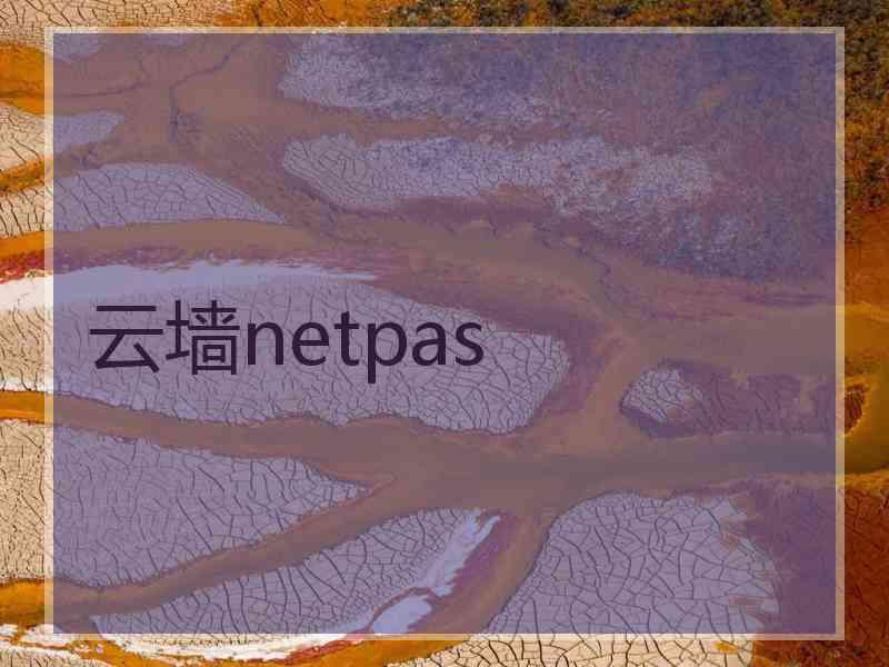 云墙netpas
