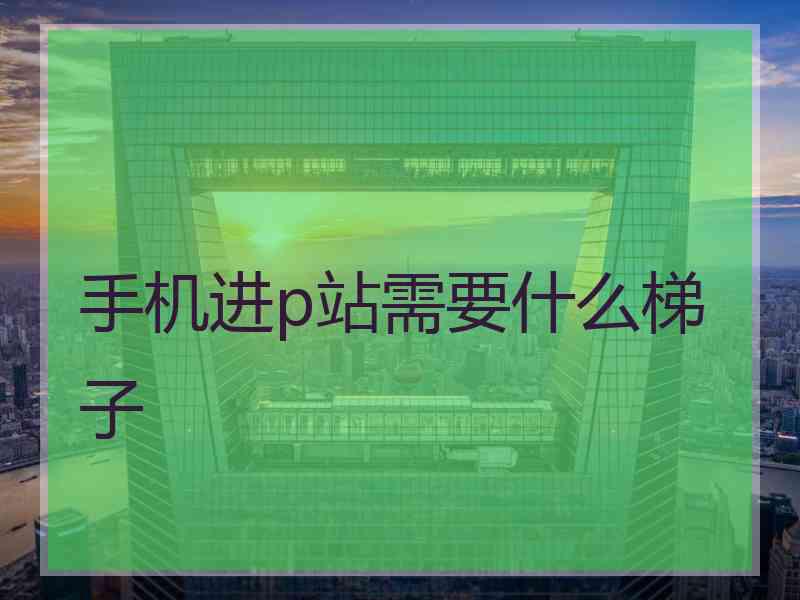 手机进p站需要什么梯子