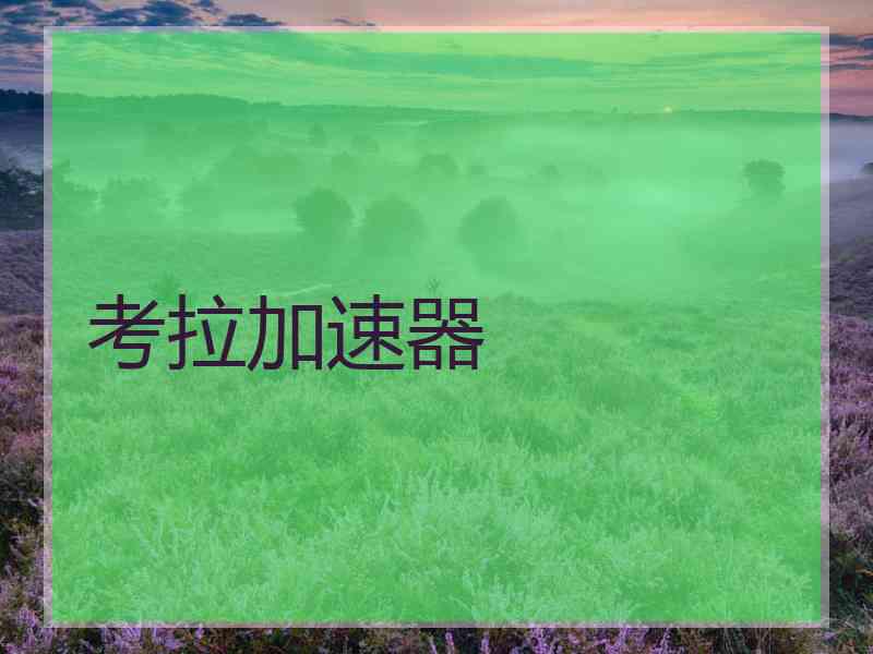 考拉加速器