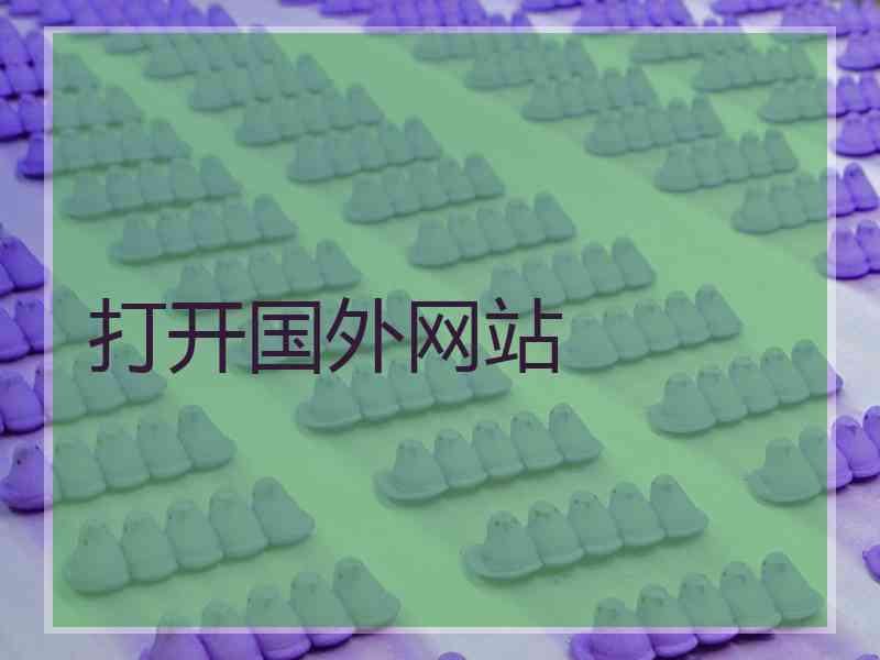 打开国外网站