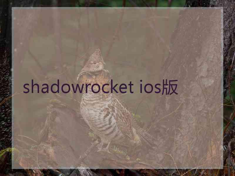shadowrocket ios版