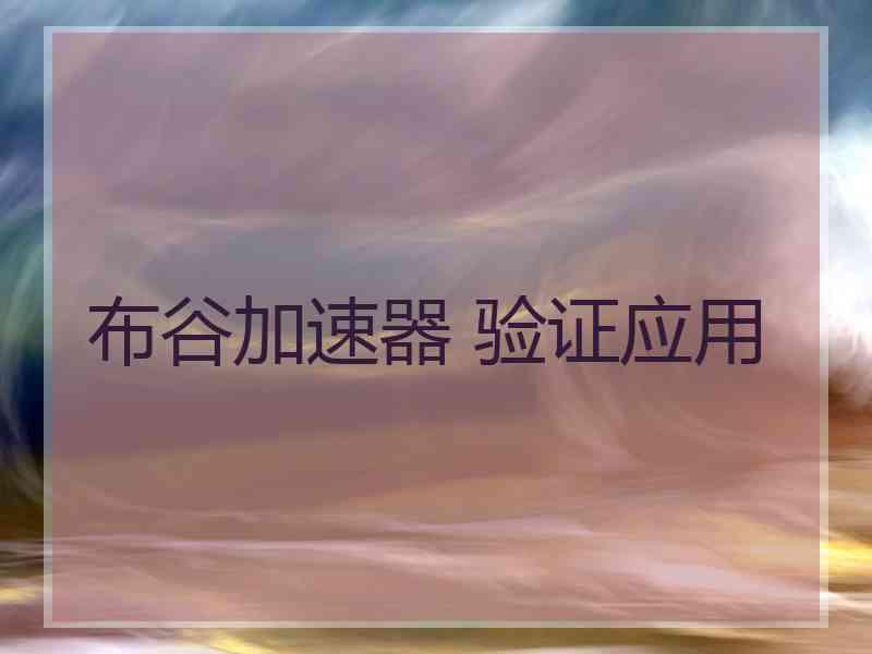 布谷加速器 验证应用