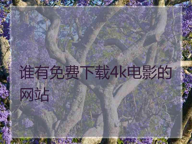 谁有免费下载4k电影的网站