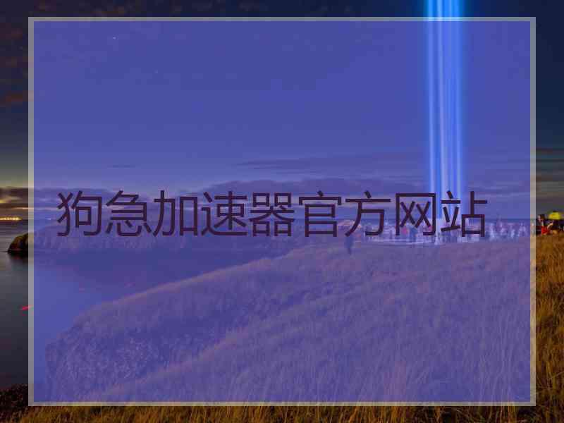 狗急加速器官方网站
