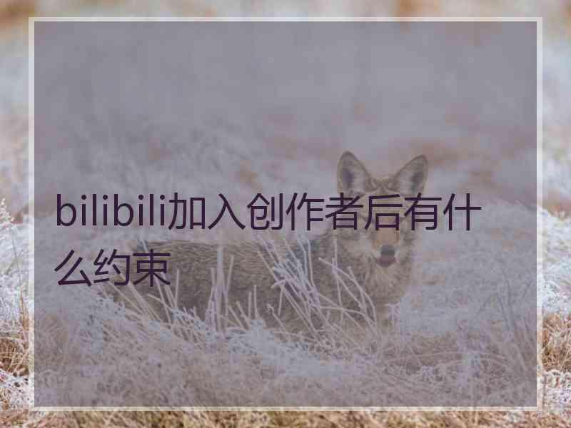 bilibili加入创作者后有什么约束
