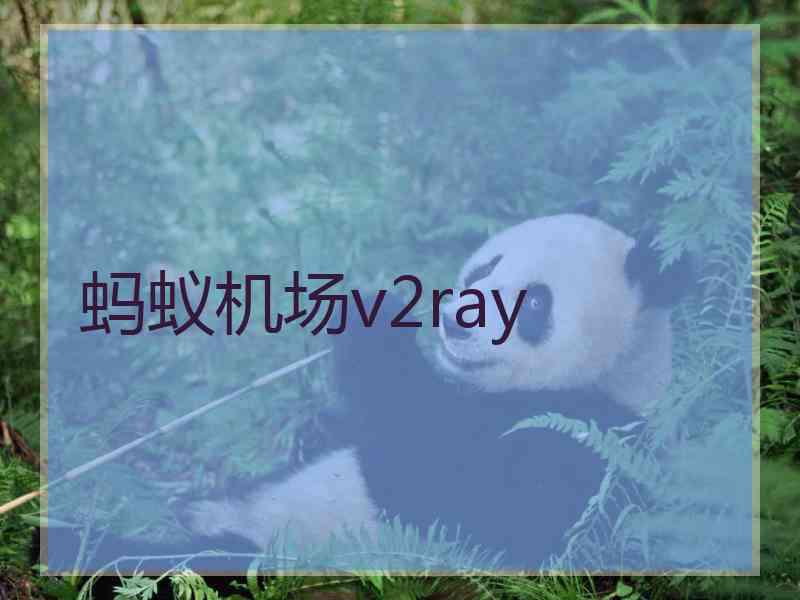 蚂蚁机场v2ray