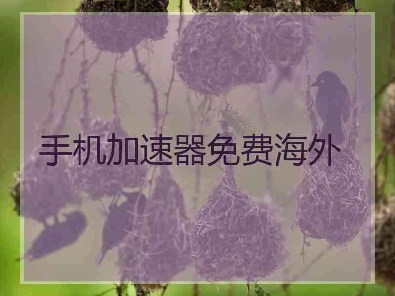 手机加速器免费海外