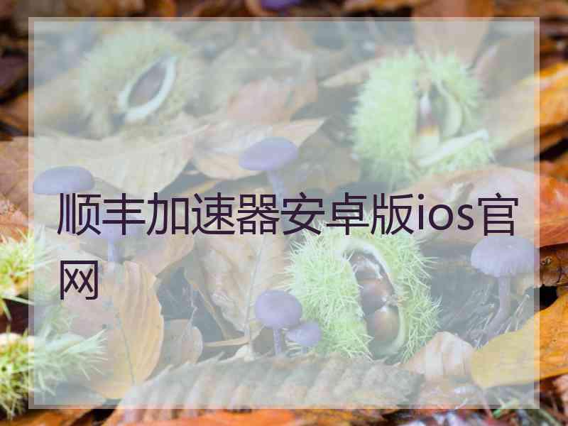 顺丰加速器安卓版ios官网