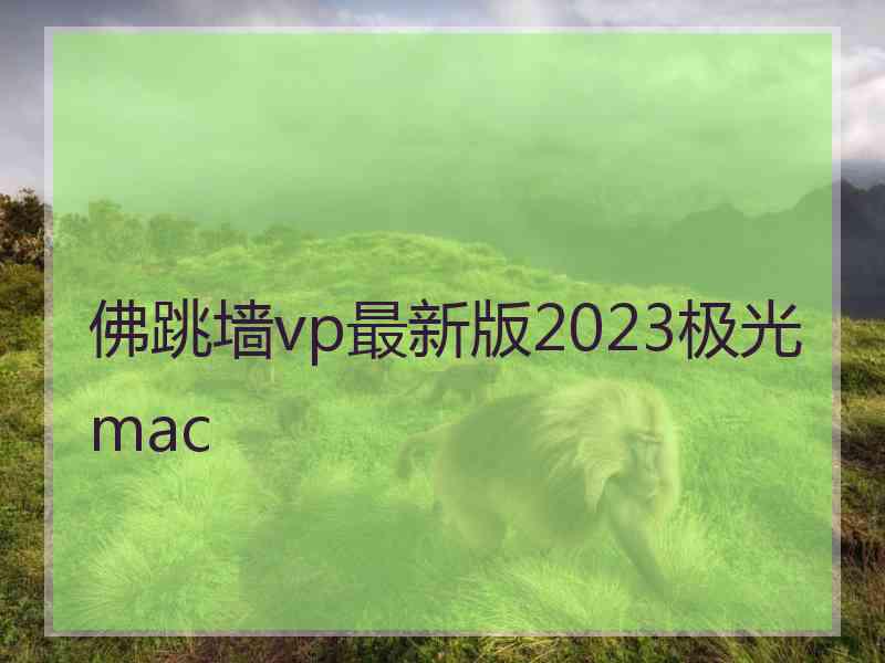 佛跳墙vp最新版2023极光 mac