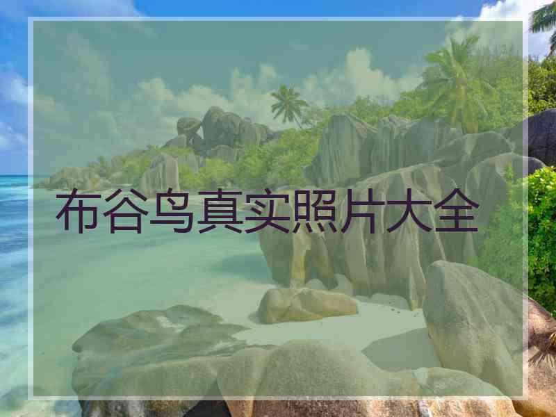 布谷鸟真实照片大全