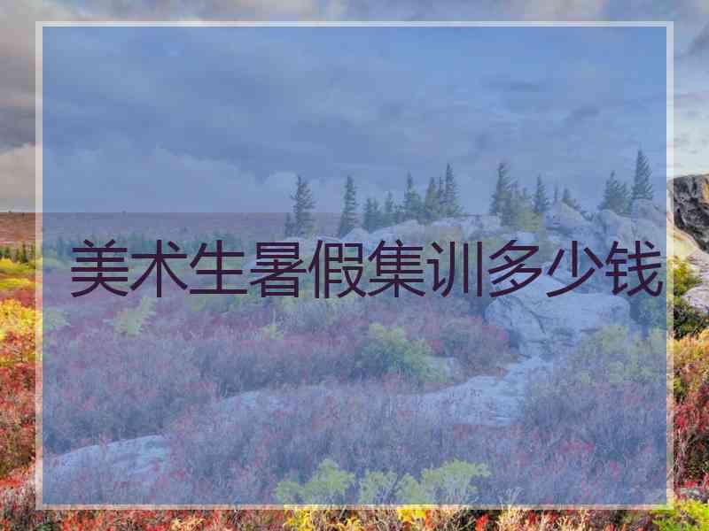 美术生暑假集训多少钱