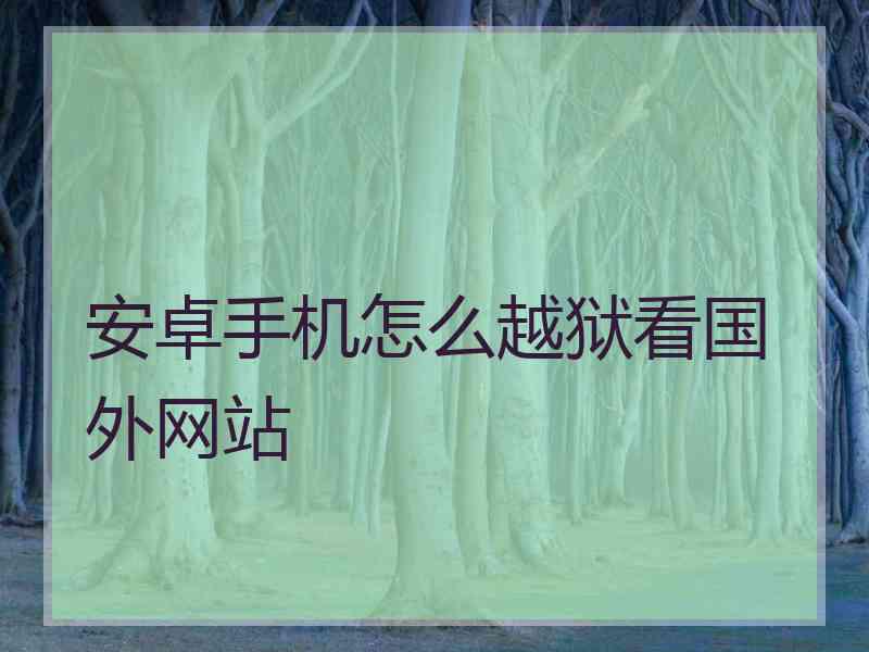 安卓手机怎么越狱看国外网站
