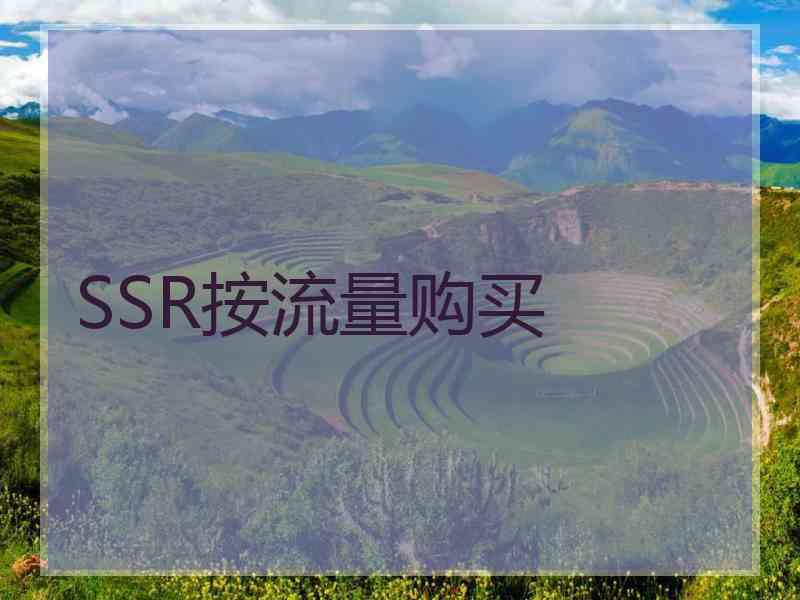 SSR按流量购买