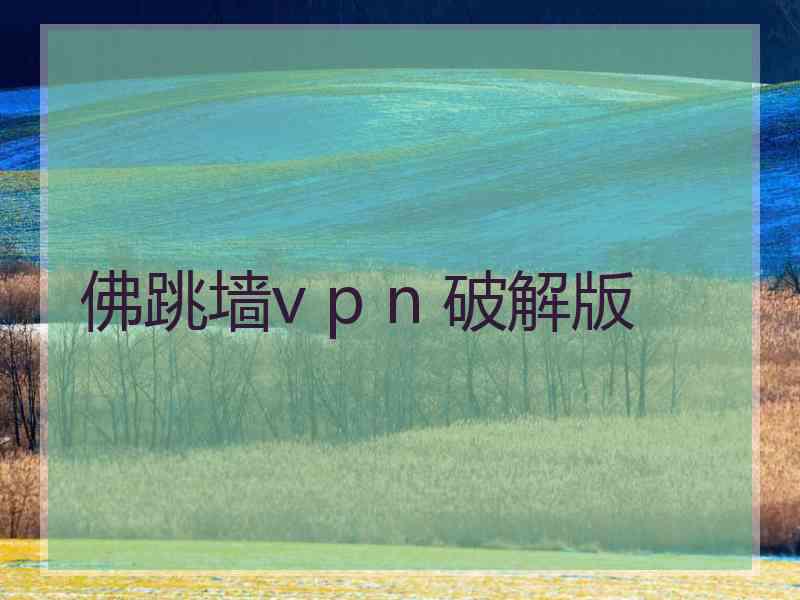佛跳墙v p n 破解版