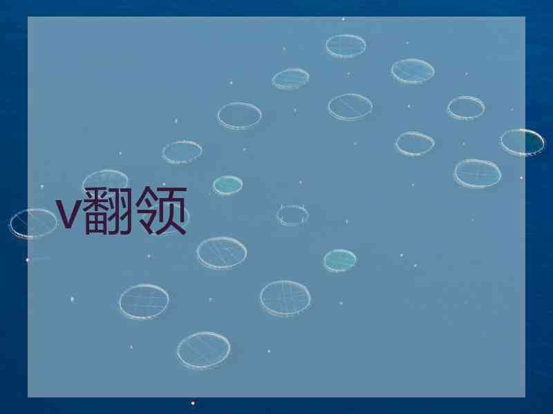 v翻领