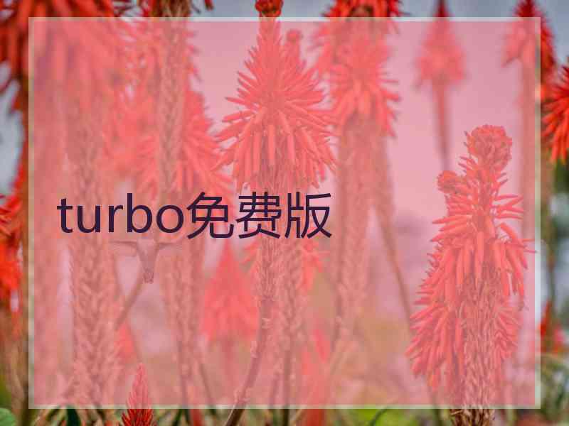 turbo免费版