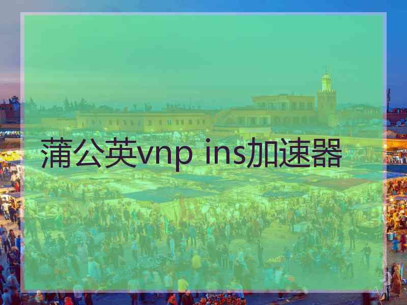 蒲公英vnp ins加速器