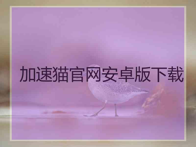 加速猫官网安卓版下载