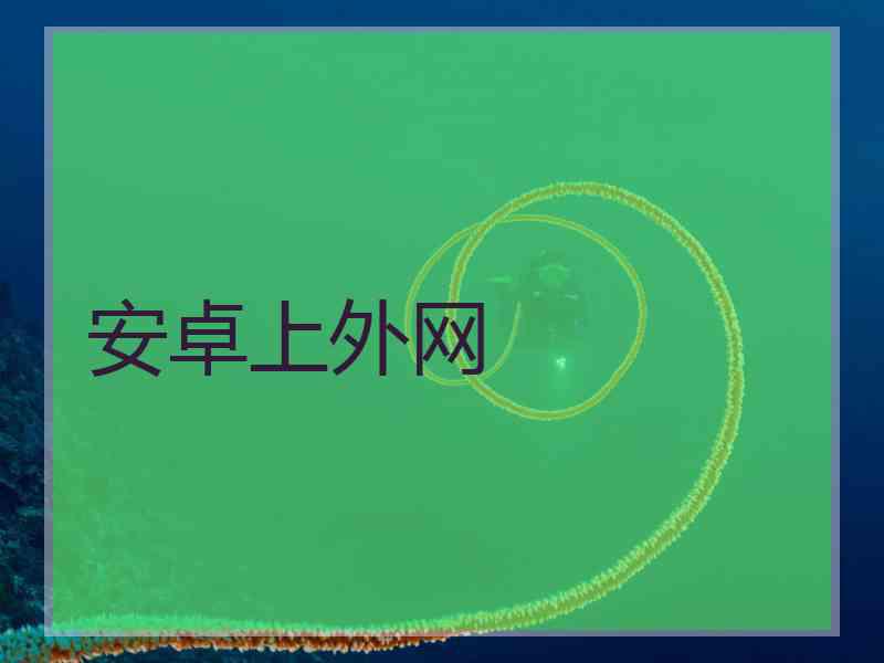 安卓上外网