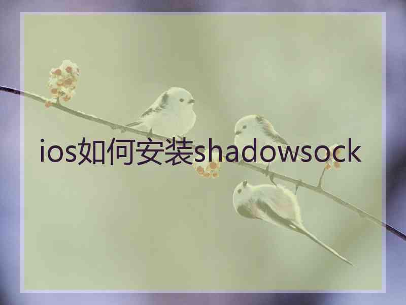 ios如何安装shadowsock