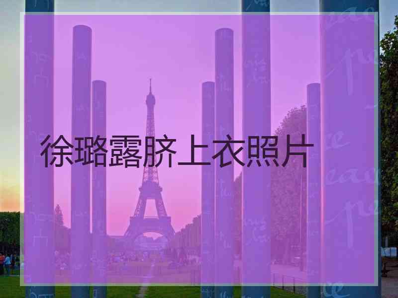 徐璐露脐上衣照片
