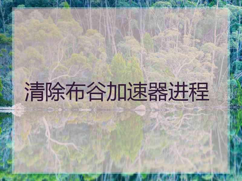 清除布谷加速器进程