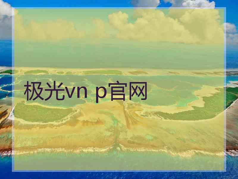 极光vn p官网