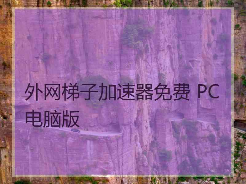 外网梯子加速器免费 PC电脑版