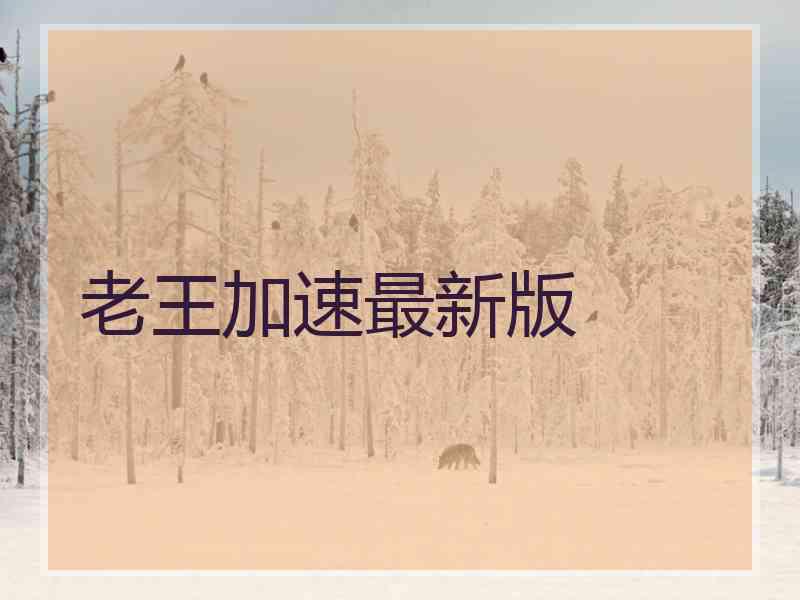 老王加速最新版