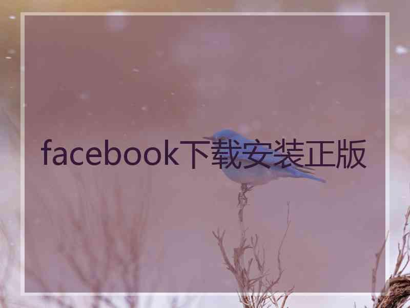 facebook下载安装正版